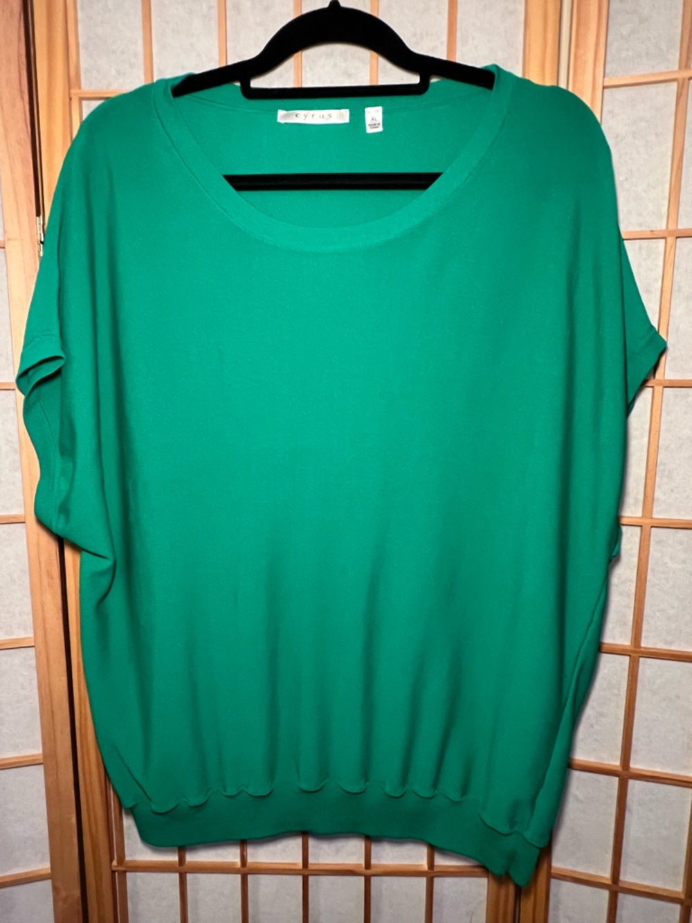 Cyrus Green Dolman Sleeve Knit Top XL Lightweight Rayon Blend